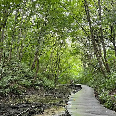 In Tranum Forest Σπίτι διακοπών