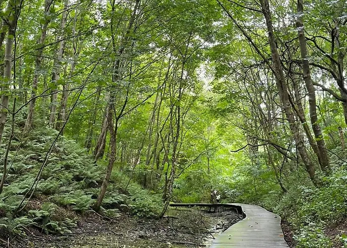 In Tranum Forest Prázdninový dům